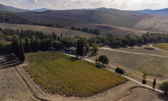 Tenuta di Trinoro, il gioiello incastonato nella selvaggia Toscana