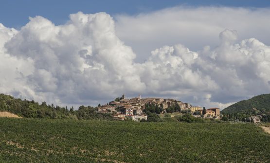 Pucciarella e Trequanda: tra Umbria e Toscana, non solo vino. L'identità passa anche per l'ospitalità