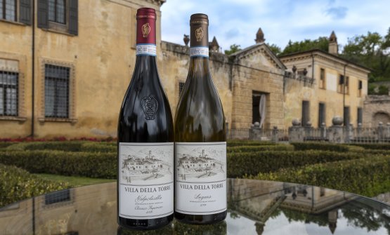 I nuovi vini di Villa della Torre raccontati da Caterina Mastella Allegrini