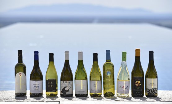 Maremma, la crescita del Vermentino: non solo un vino per l'estate