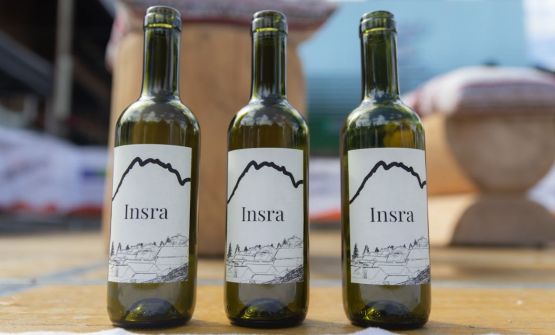 Insra, il vino che nasce a 1305 metri di quota