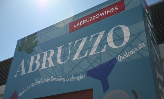 L'Abruzzo dei vini: meno burocrazia, più semplicità e voglia di farsi conoscere