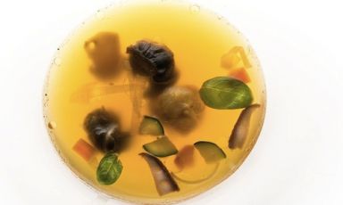 Snail stock with malga Kn&ouml;dels, one of the many interesting recipes offered at Roberto Provedani and Fabrizia Meroi at Laite in Sappada (Belluno), tel. +39.0435.469070