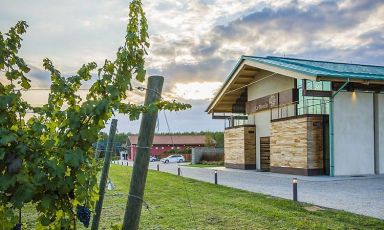 Vigneti Le Monde si trova a Prata di Pordenone, in Friuli
