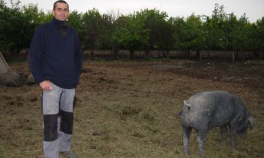 Richard Triebaumer, allevatore e norcino austriaco di Rust,  +43.(0)2685.20438 (foto Spotti)