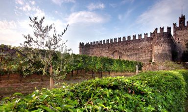 Autunno in Franciacorta: long week alla scoperta delle bellezze naturali e paesaggistiche, delle bottiglie e dei prodotti
