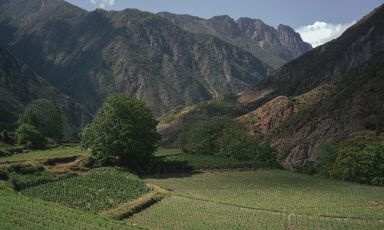 I vigneti di Ao Yun, una sfida vinta dal colosso LVMH
