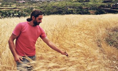 Andrea Blandino nei suoi campi di grano Crusco a Pantelleria
