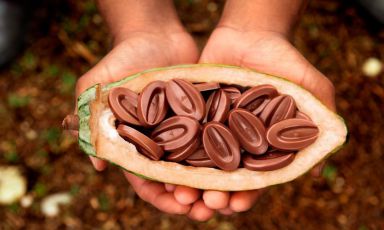 «You can only make high quality chocolate with high quality cocoa»: with these words, Eric Marchisio, Global Marketing & Sales Director of Valrhona and one of the international development managers of the French brand explains one of the essential elements in this quest for excellence 
