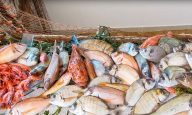 Il bancone del pesce è il simbolo più significativo del ristorante Da Tuccino di Polignano: non potendo portarvi tutti in contrada Santa Caterina dove si trova questo indirizzo mitico per la cucina di mare del nostro paese, abbiamo invitato lo chef Vito Mancini a Milano, per una delle cene di Identità Golose. L'appuntamento è per lunedì 16 novembre al Ratanà di Cesare Battisti, in via de Castilla 28. Prezzo fisso della serata 60 euro, tutto compreso. Info e prenotazioni al numero verde 800.825144, o al Ratanà, +39.02.87128855