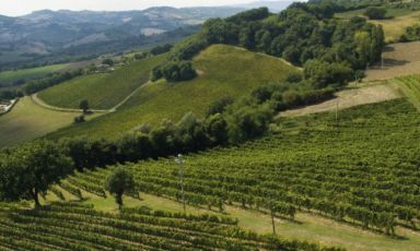 Viaggio virtuale nelle Marche, alla scoperta del Verdicchio dei Castelli di Jesi Riserva
