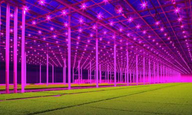 The colours are authentic: this is the super-technological greenhouse at Koppert Cress, the Dutch giant of micro greens. It’s the new frontier for indoor farming for fine dining and beyond. According to their managers, this is the agriculture of the future 