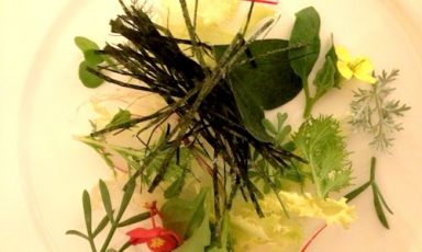 L'Insalata di alghe, erbe, aromatiche e radici con cui Paolo Lopriore apre il pasto al Canto nella Certosa di Maggiano (Siena), telefono +39.0577.288180. I vegetali del suo orto sono la vera passione del cuoco di natali comaschi, 40 anni nel marzo 2013 (foto Passera)