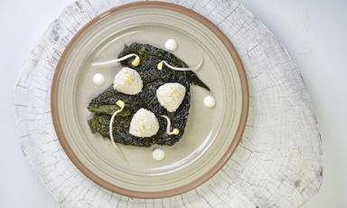 Fake hazelnut ricotta with crispy black cabbage le