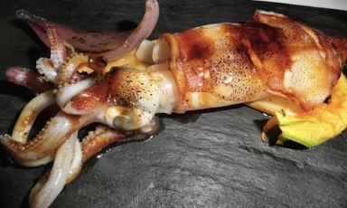 Un calamaro freschissimo grigliato “alla brutta” e semplicemente spennellato con un po’ di sugo di carne di Rafael Peña, 36 anni, chef catalano del Gresca di Barcellona, da qualche mese impegnato anche all'Hostal Empuries, Girona, +34.972.775932. Peña sarà tra i relatori di Identità Milano, 10-12 febbraio 2013 (foto Regol)