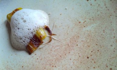 Una delle due interpretazioni della Cozza e porro, un 'classico' di Alberto Landgraf, chef del ristorante Epice, +55.11.30620866, giovane promessa della cucina paulista. La sua è una cucina contemporanea, di grande eleganza, pulizia e profondità