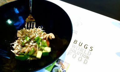 La pasta belga Aldento, fatta con farina di camole disidratate. E' stato uno degli assaggi al padiglione del Belgio a Expo 2015, cui &egrave; seguito un convegno che ha visto come protagonisti i sostenitori italiani dell'entomofagia