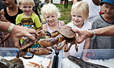 Aarhus, seconda città della Danimarca, e la sua area dello Mid-Jutland saranno, al pari di EAsT Lombardy, Regione Europea della Gastronomia 2017. Ci siamo stati, e abbiamo scoperto una realtà dedita al cibo di qualità e ricchissima di produzioni agroalimentari buone, pulite e sane, come direbbe Carlin Petrini. La prima parte del nostro racconto
