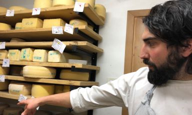 Ricky Gaspari, chef del Sanbrite di Cortina d'Ampezzo (Belluno), nel locale di affinamento dei formaggi sotto al ristorante. E' il penultimo passaggio del menu degustazione Latte, un percorso intelligente nelle trame di un ingrediente bistrattato
