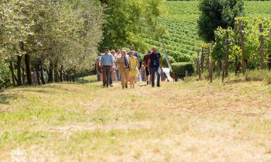 A spasso per Tenuta Rosaneti, uno dei gioielli della famiglia Librandi
