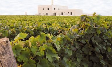 Una splendida vista della Cantina Gianfranco Fino, a Manduria
