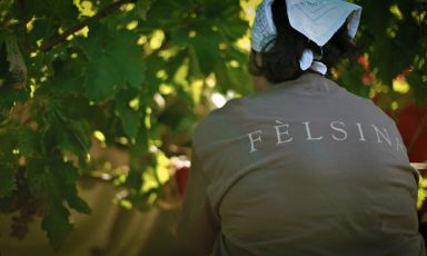 Fèlsina, acquistata dalla famiglia Poggiali nel 1966, è diventata un punto di riferimento per la produzione di Chianti Classico e, più in generale, di vini toscani
