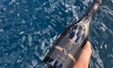 Mare e vino: un legame antico. Viaggio sull'isola d'Elba per visitare cantina Arrighi