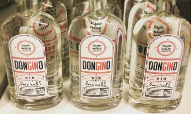 Don Gino, il gin di Vincenzo Donatiello
