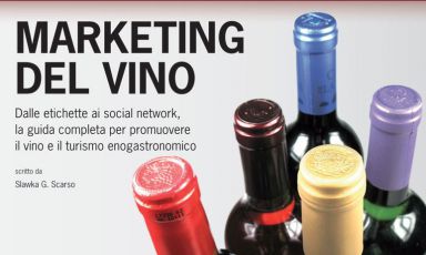 Come fare conoscere il proprio vino, in Italia e all'estero, come portare i turisti nella propria cantina, come affrontare la comunicazione e l'interazione con i navigatori della rete: sono gli argomenti principali del libro di Slawka G. Scarso, edito da LSWR, 263 pagine, €34.90
