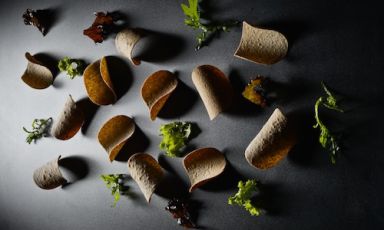 Linseed flour tiles with Lollo salad tips seasoned