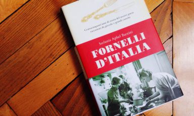 Scrittrice, giornalista, cuoca, esperta di cibo. Stefania Aphel Barzini è una vera appassionata di cucina, ma è anche una grande narratrice di storie femminili. Queste due caratteristiche si incontrano nelle pagine del suo ultimo libro, edito da Mondadori, 248 pagine, €15.90
