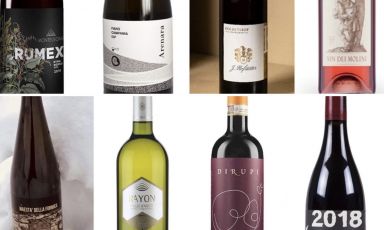 Vini italiani di montagna, le etichette selezionate dalla nostra redazione