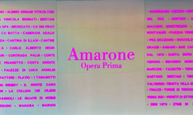 Amarone Opera Prima è l'annuale appuntamento del Consorzio Vini Valpolicella con l'anteprima dell'Amarone
