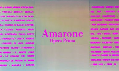 Amarone Opera Prima è l'annuale appuntamento del Consorzio Vini Valpolicella con l'anteprima dell'Amarone
