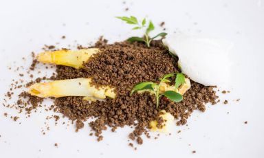 Raccogliendo asparagi, ovvero Asparagi di Bassano sbollentati, passati in salsa Mornay e gratinati, coperti con una terra di farina di canapa, farina tostata e formaggio Asiago vecchio. La ricetta è di Elvis Pilati, chef del ristorante Milleluci di Rubbio di Conco (Vicenza), sulla strada che unisce Asiago a Bassano del Grappa, telefono +39.0424.709433
