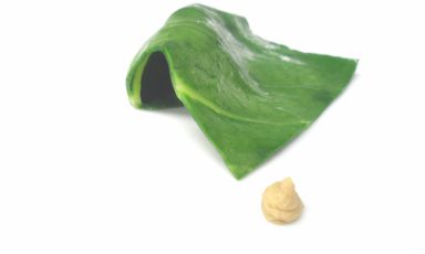 Bietola, huacatay, limone bruciato, cardamomo verde, granchio è la ricetta 2017 di Francesco Brutto, chef di Undicesimo Vineria a Treviso
