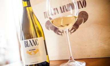 Viaggio alla scoperta del Blanc di Mazzolino negli anni: uno Chardonnay dalla filosofia francese ma dal cuore italiano
