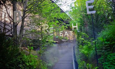 Entrare nel padiglione austriaco significa entrare in un suggestivo bosco, che accoglie i visitatori con un'aria fresca e rigenerante