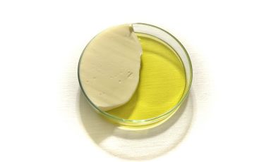 Burro e olio (buonissimi) allo Zefiro, il ristorante gastronomico del Lido Palace a Riva del Garda (Trento)
