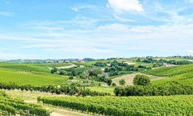 Vista sui vigneti dall’Azienda Agricola G.D. Vajra
