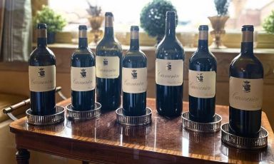 Il Carmenère di San Leonardo, protagonista di una degustazione che ha permesso di scoprire questo incredibile vitigno
