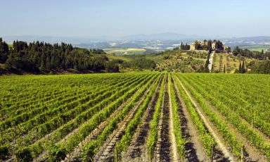 Castelgiocondo è la tenuta di Montalcino di Frescobaldi: una realtà da oltre 1.100 ettari complessivi
