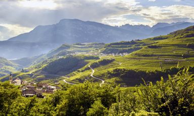 Cembra Cantina di Montagna è una cooperativa cost