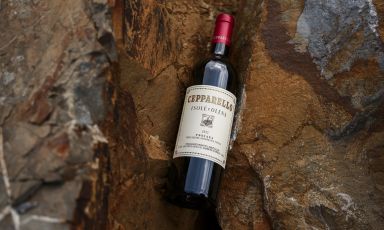 Il Cepparello è il vino simbolo di Isole e Olena
