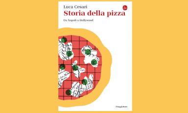 Il libro di Luca Cesari è stato pubblicato da Il 