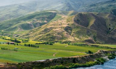 Wine region Wairau Valley, in Marlborough, in the most northern tip of South Island in New Zealand. These are Cloudy Bay’s headquarters, 75% production of Sauvignon Blanc, 10% Pinot Noir. The winery was founded thanks to an intuition of David Hohnen. First vintage: 1985
