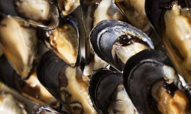 Le cozze all'ampa di LU MARE. Tutte le foto sono di Carolina Gheri
