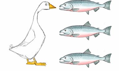 Gianluca Biscalchin trasforma in disegno la creatività di Carlo Cracco e Matteo Baronetto: un salmone marinato senza il classico ricciolo di burro finale, ma con il foie gras. Il piatto è stato presentato a Identità Milano 2012. Qui l'intero procedimento.