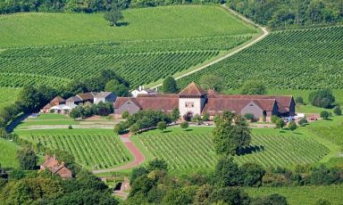 Vigneti in Gran Bretagna: qui siamo nel Surrey, nella Mole Valley, Inghilterra sud-orientale, alla tenuta&nbsp;Denbies Wine Estate, una delle pi&ugrave; vaste dell'Inghilterra
