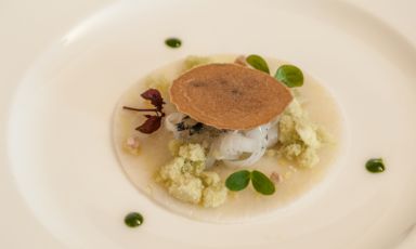 Continua la grande iniziativa di Identità Golose, "I piatti dell'estate": le migliori ricette d'autore dei più grandi chef italiani, che esaltano sapori e profumi della stagione calda. Ecco Calamaro e finocchio, piatto in carta ora nel menu della Magione Papale a l'Aquila. L'idea dello chef William Zonfa è nata dopo aver ammirato il modo in cui il mollusco è trattato nelle cucine asitaiche
